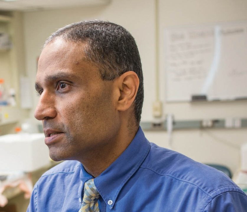 Anil Sood, M.D., is a professor of gynecologic oncology and co-director of the Ovarian Cancer Moon